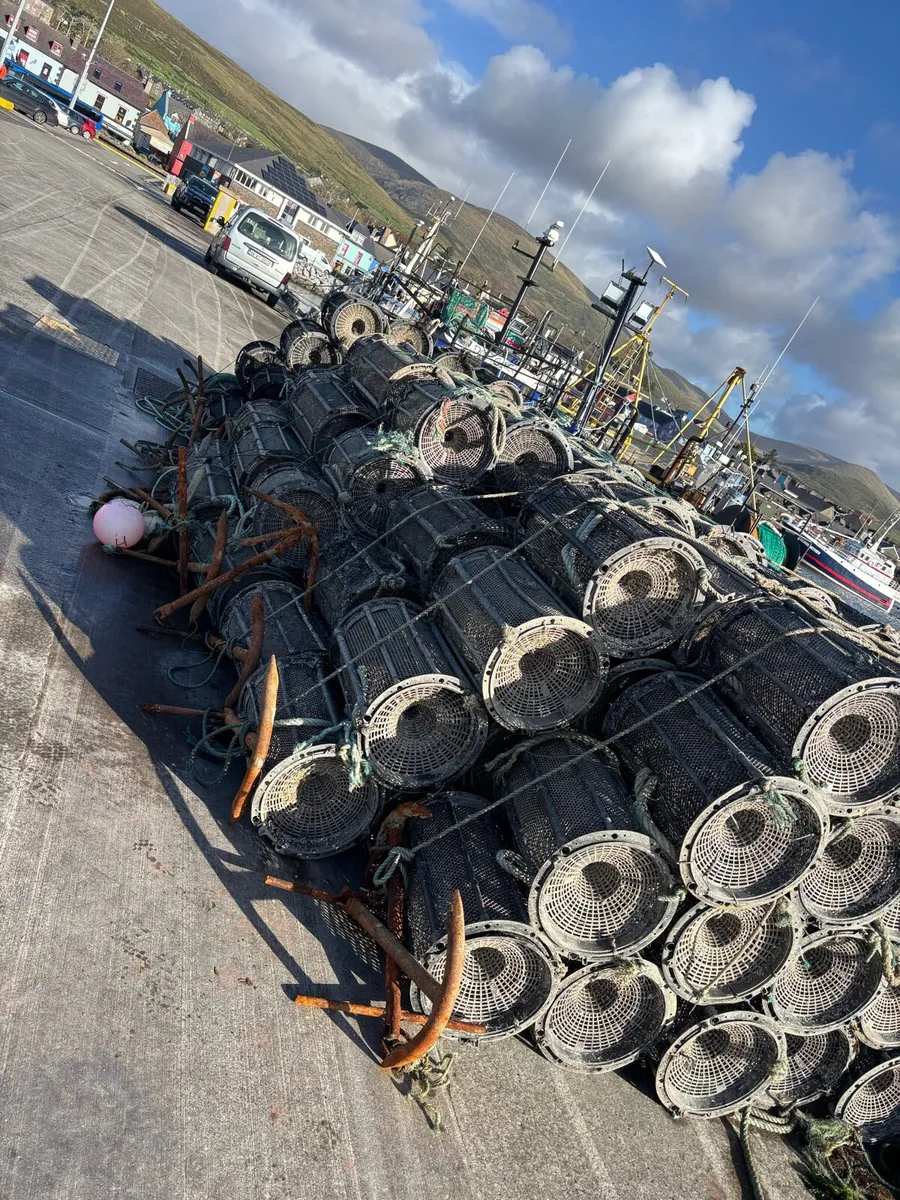 Shrimp pots - Image 2