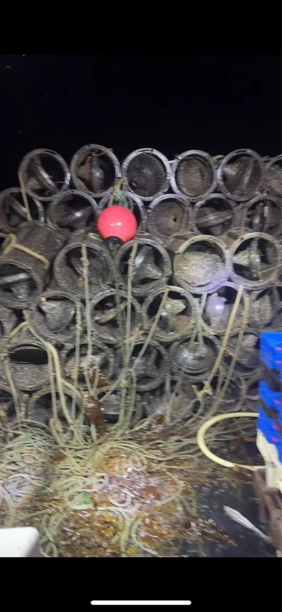 Shrimp pots - Image 3