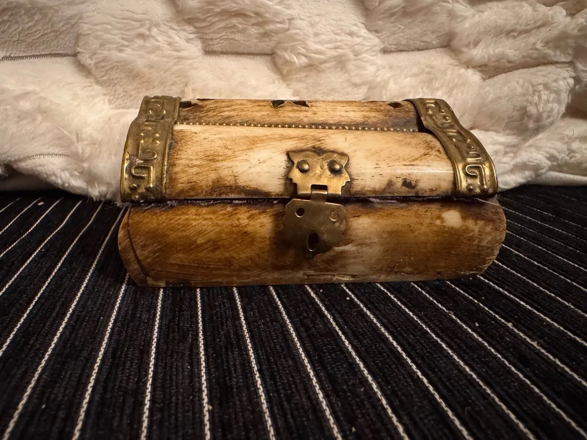 Camel Bone trinket mix century - Image 2