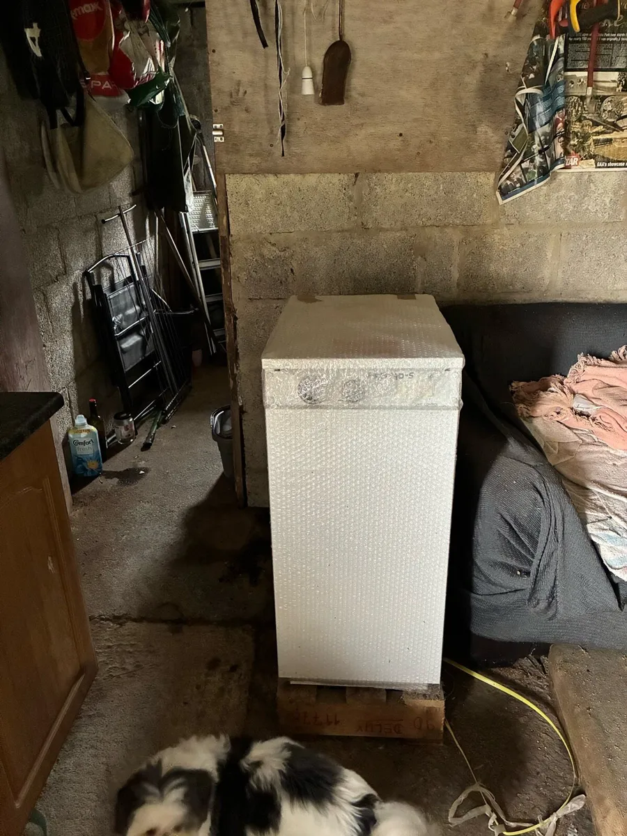 Firebird 70-90 with timer - Image 4