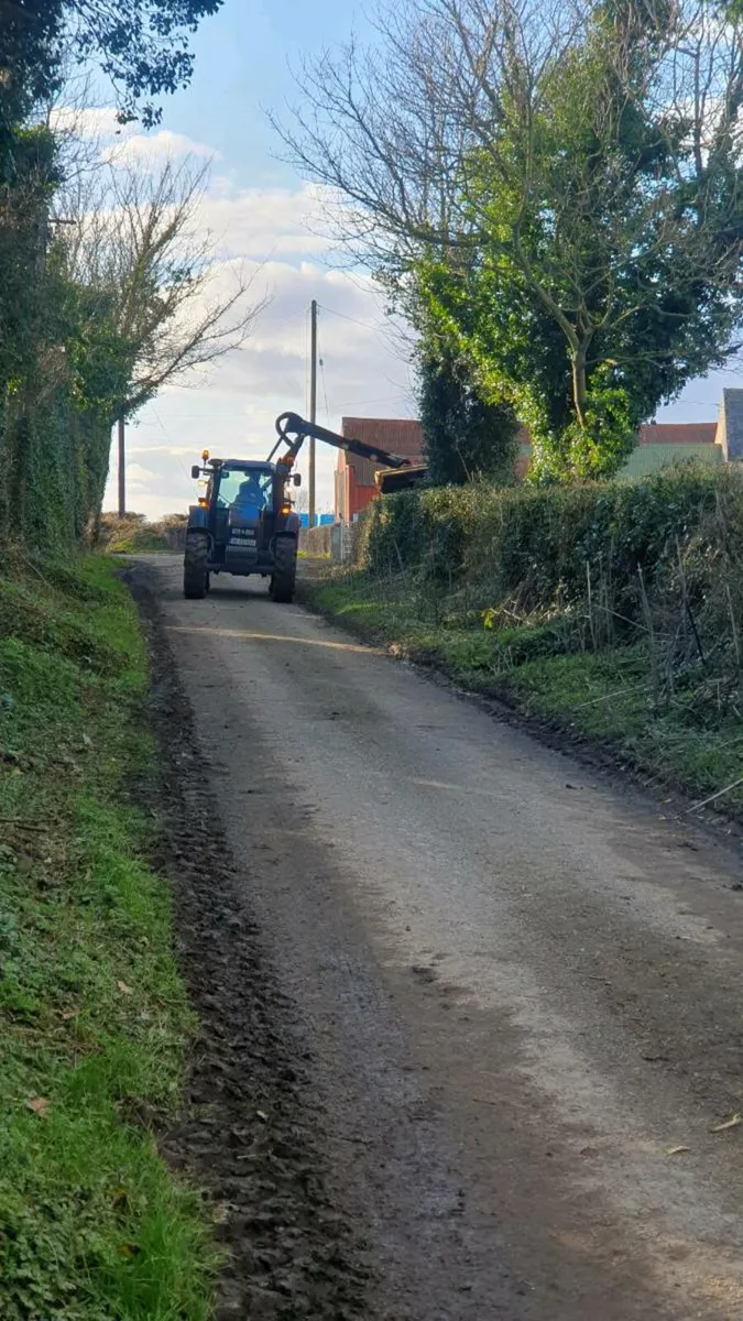 Hedgecutting Service - Image 1