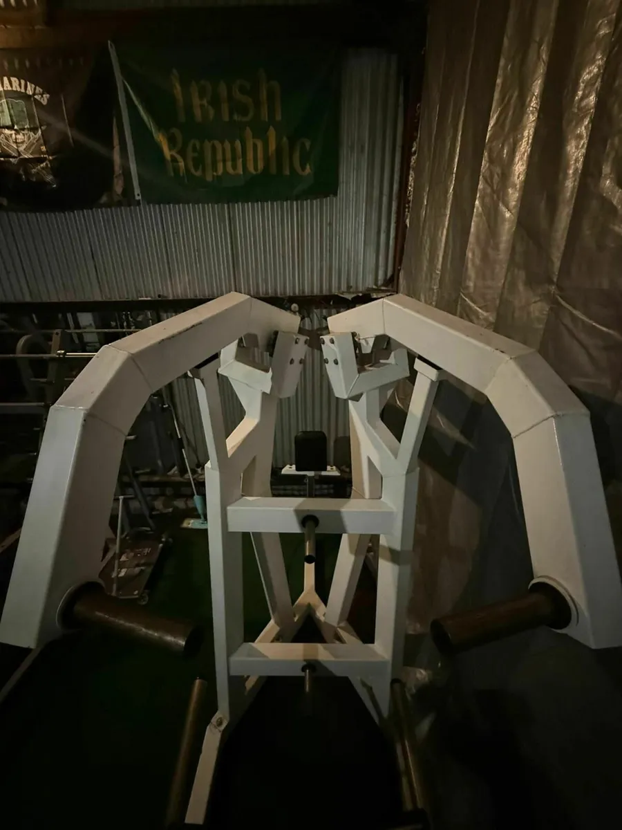 Plate-Loaded Iso-Lateral High Row Machine - Image 2