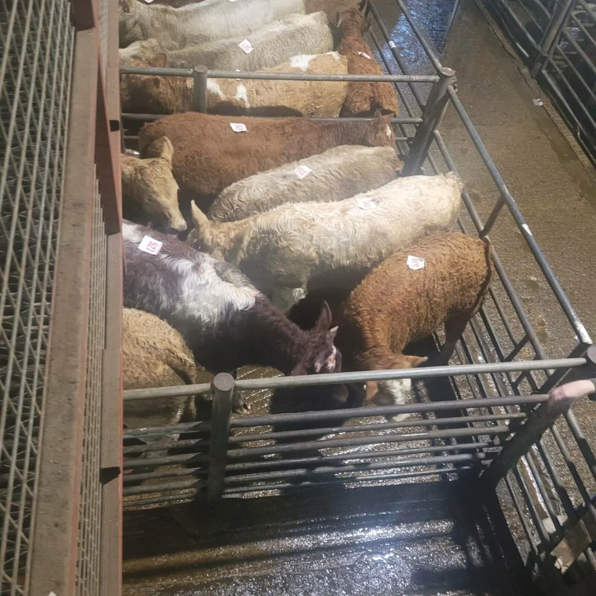 Drumshambo mart  fully organic