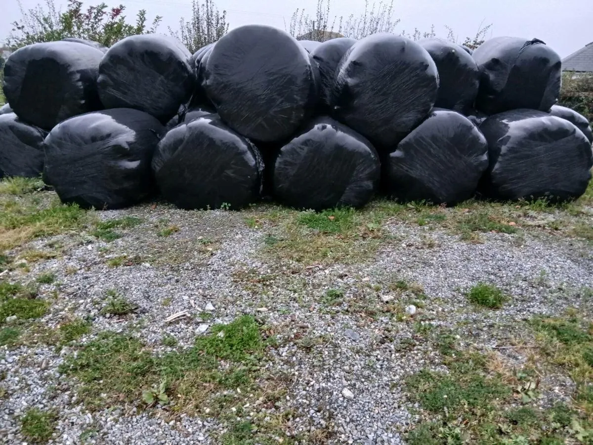 Silage - Image 1