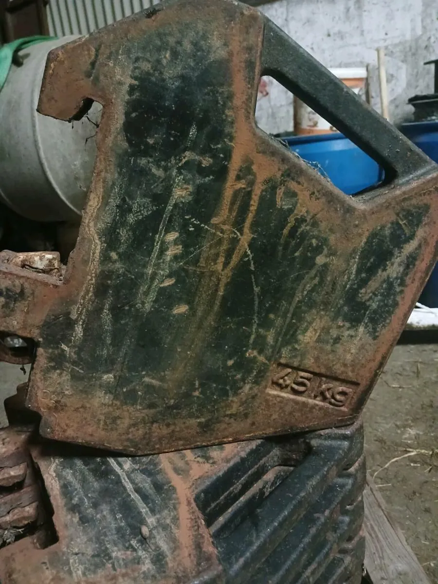 MF Front weights - Image 1