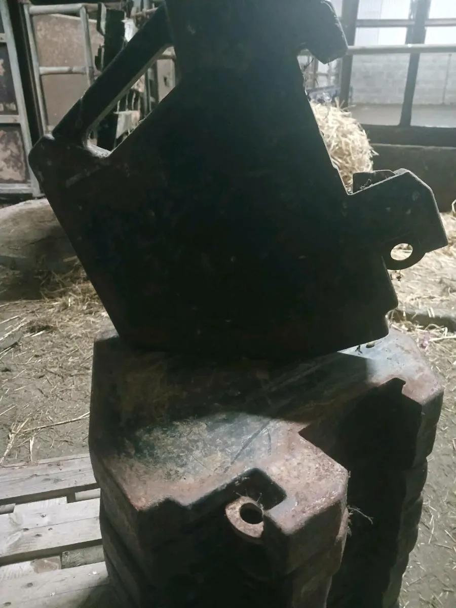 MF Front weights - Image 3