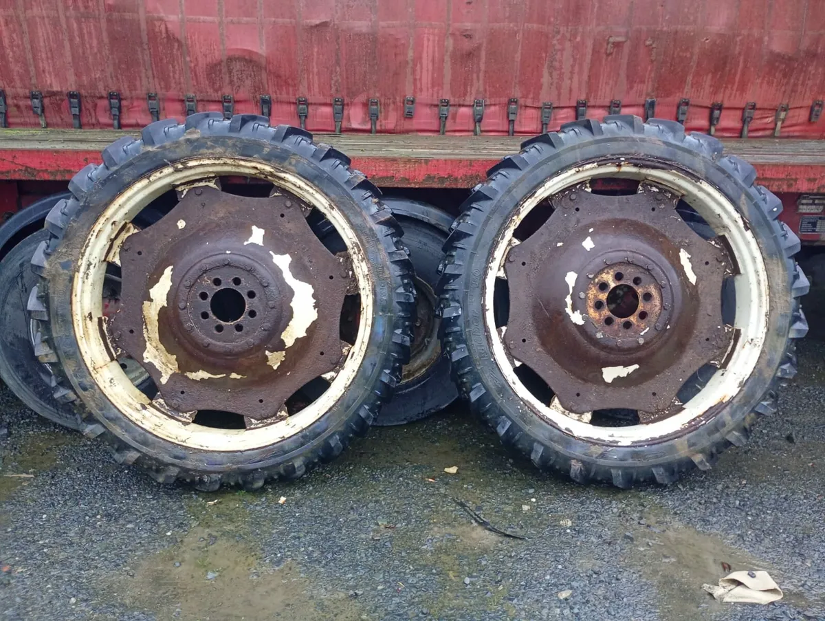 Row crops for sale( 3 pairs ) - Image 4