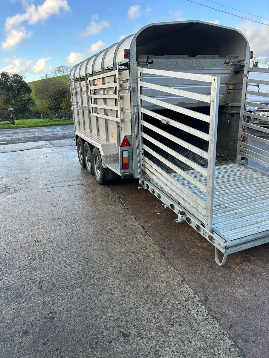 Nugent 14ft cattle trailer - Image 2