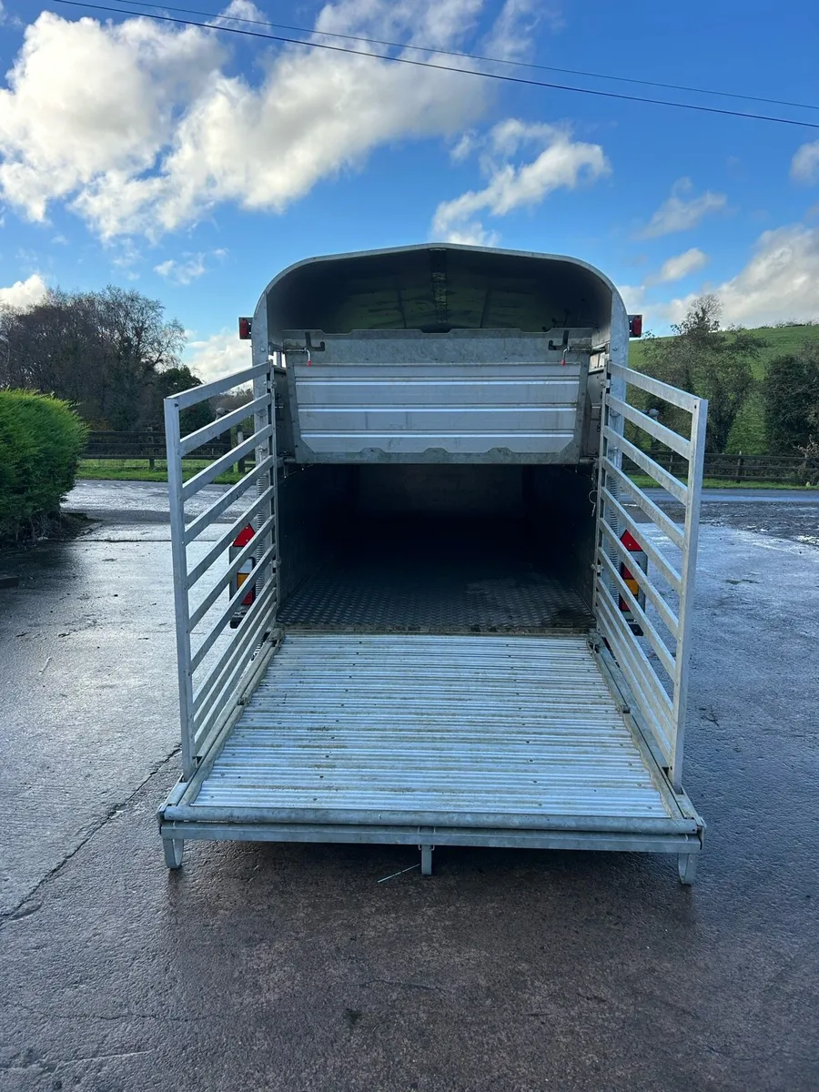 Nugent 14ft cattle trailer - Image 3
