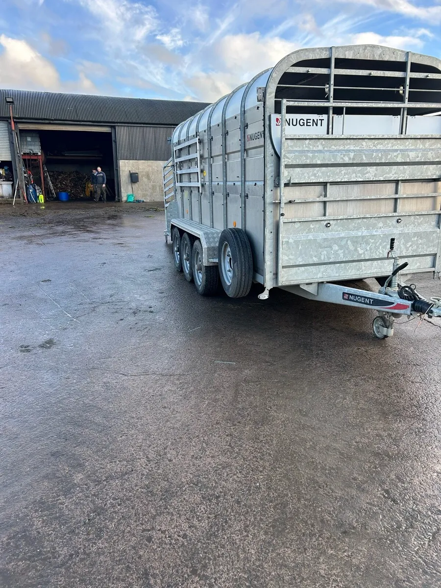 Nugent 14ft cattle trailer - Image 4