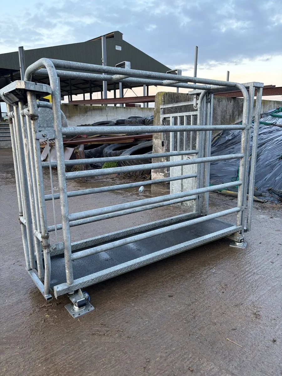 Cattle crush - Image 4