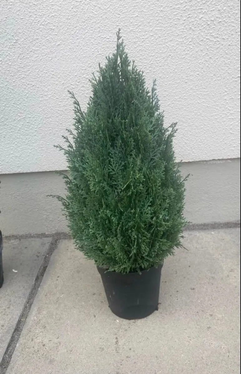 Artificial Outdoor Tree - Image 1