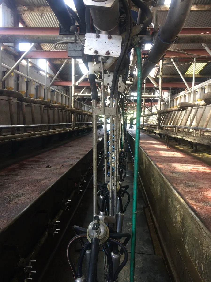 40 unit herringbone milking parlour - Image 1