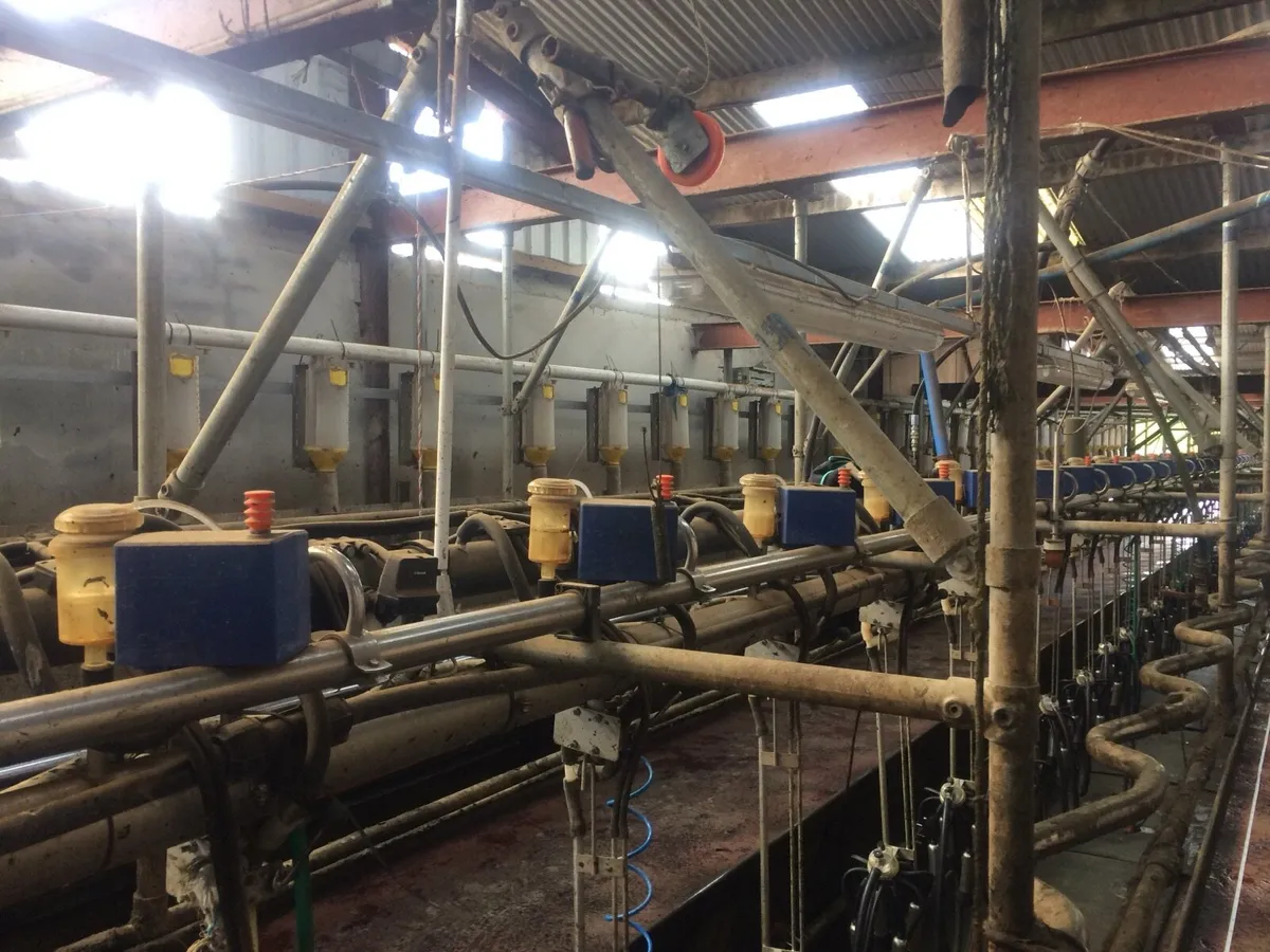 40 unit herringbone milking parlour - Image 2