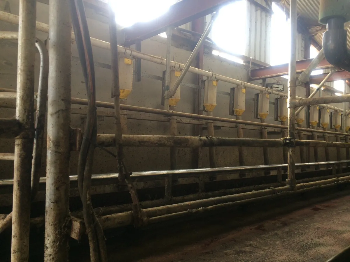 40 unit herringbone milking parlour - Image 4