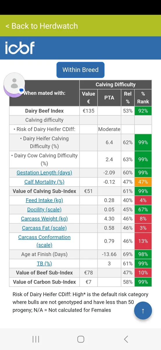 Pedigree aberdeen Augus bull - Image 4