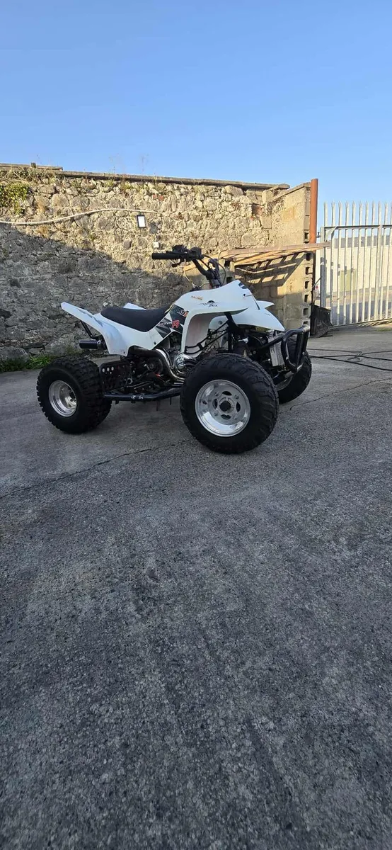 QUADZILLA 100cc two-stroke - Image 1