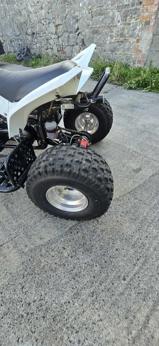 QUADZILLA 100cc two-stroke - Image 3