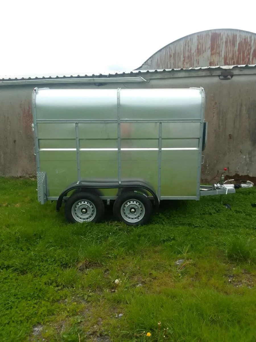 Cattle Trailer - Image 3