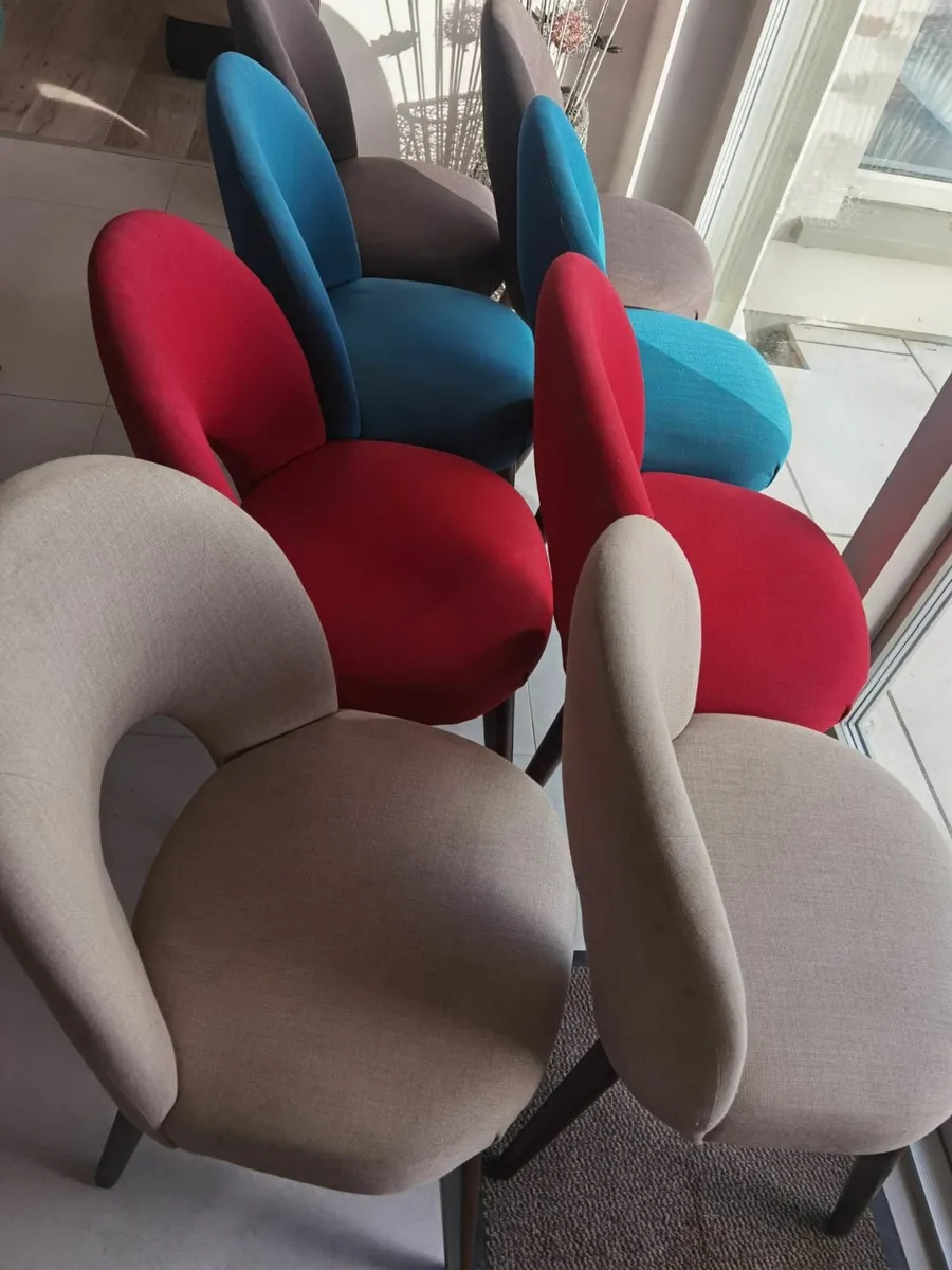 Coloured dining chairs - Image 2