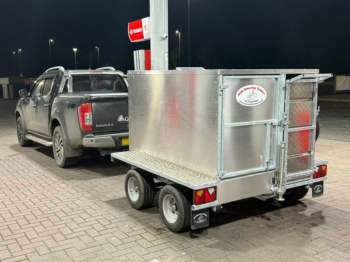 Sheep scanning - Image 2