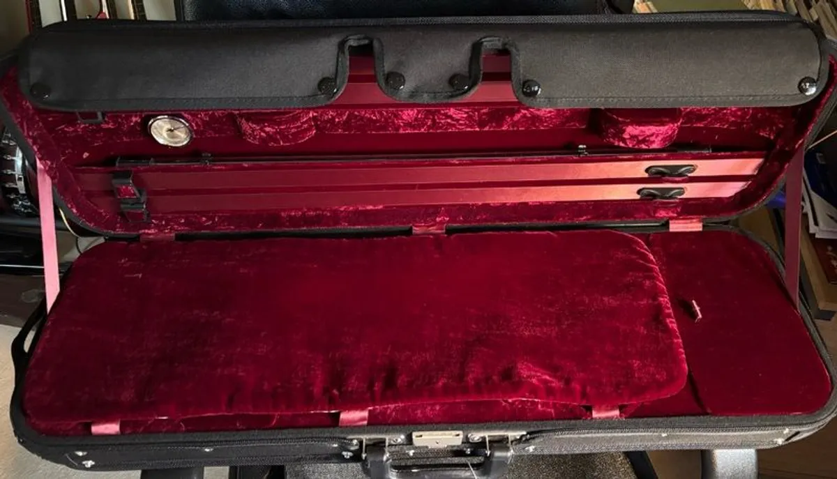 PRICE DROP Premium violin case - Image 2