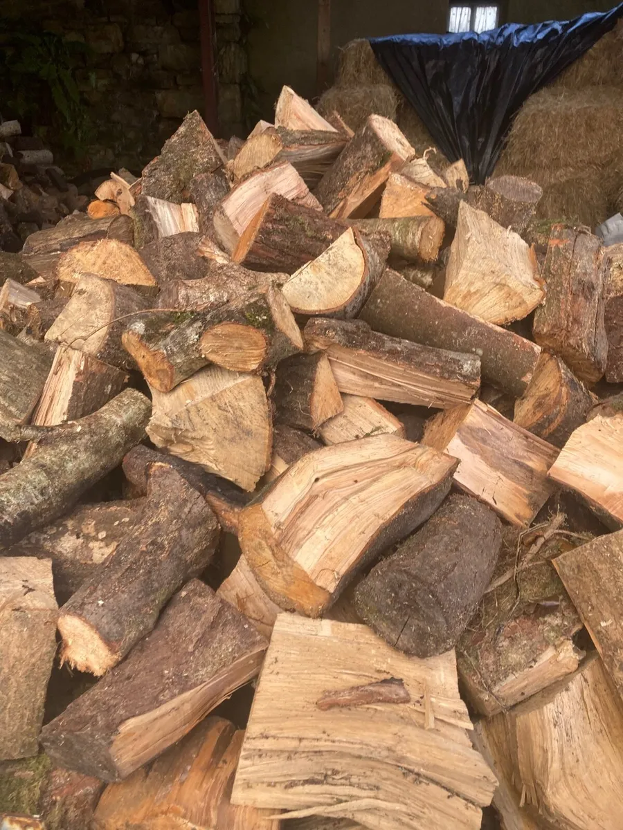 Firewood - Image 2