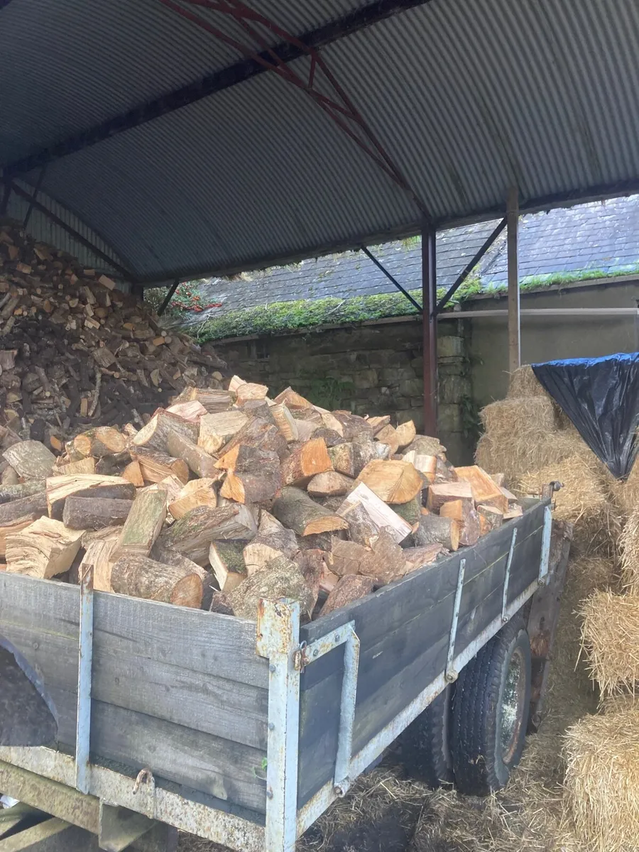 Firewood - Image 3