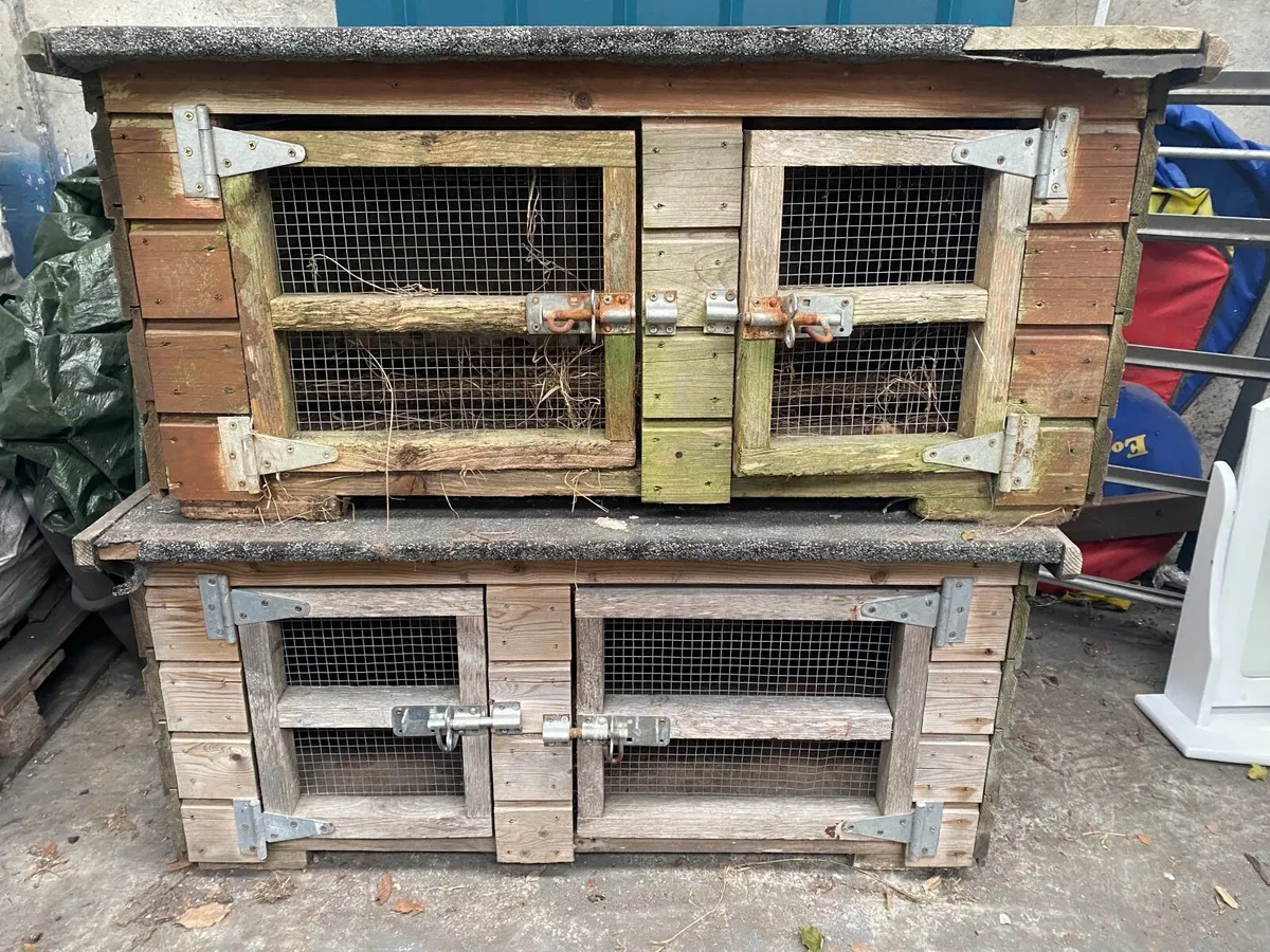 Rabbit Hutches - Image 1