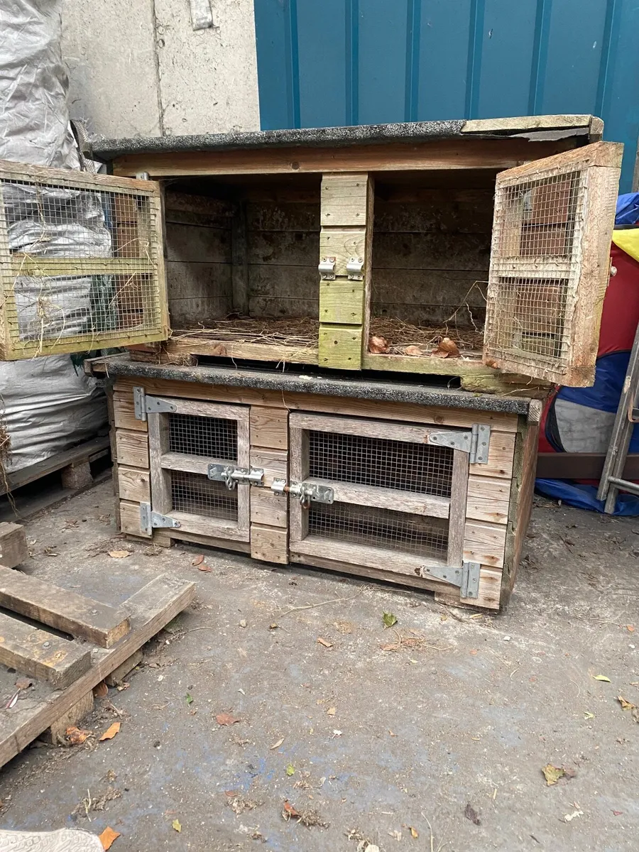 Rabbit Hutches - Image 2
