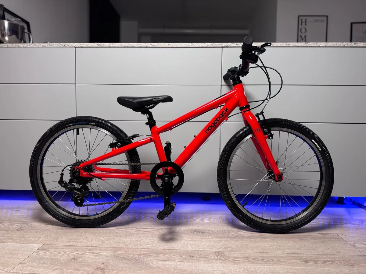 Ridgeback Dimension Kids Bike 20 inch - Image 1