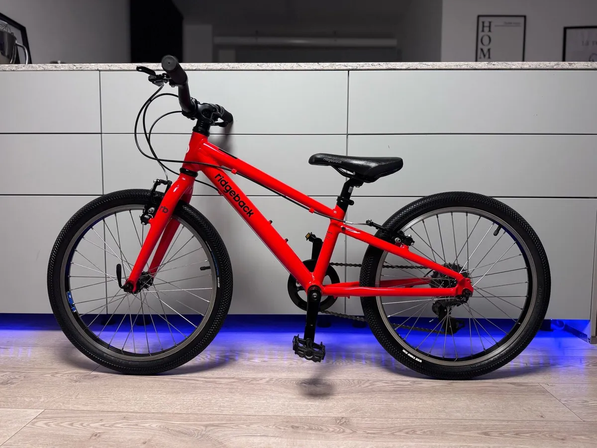 Ridgeback Dimension Kids Bike 20 inch - Image 2