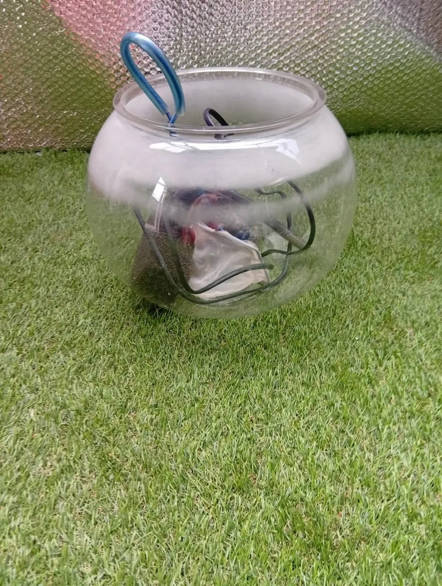 Universal Fish Tank terrarium plant growing bowl - Image 1