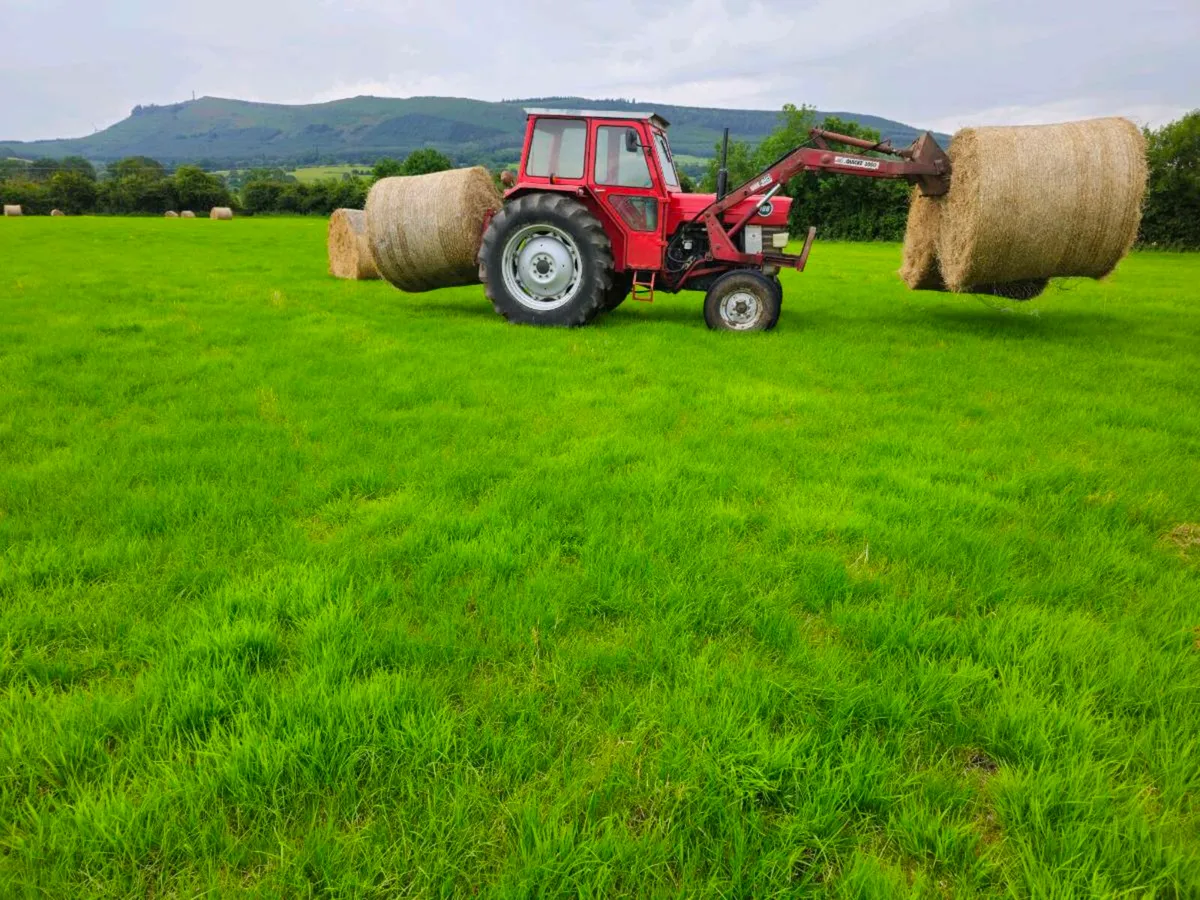 Massey 168 Tractor With Tanco Loader - Image 2