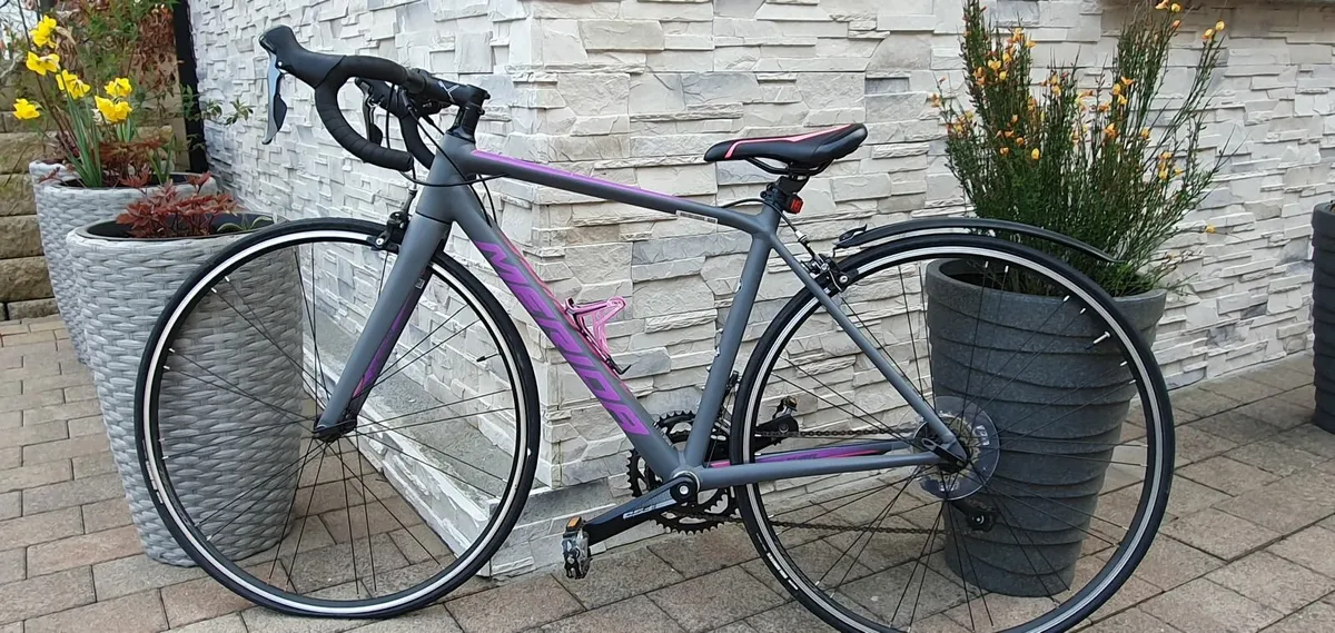 Ladies Bicycle - Image 1