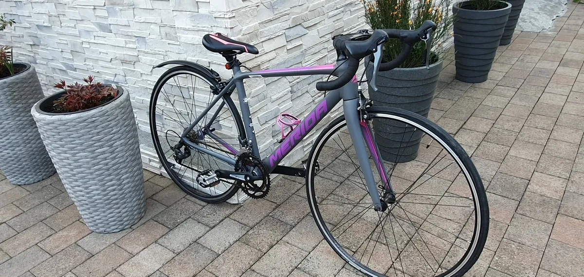 Ladies Bicycle - Image 4