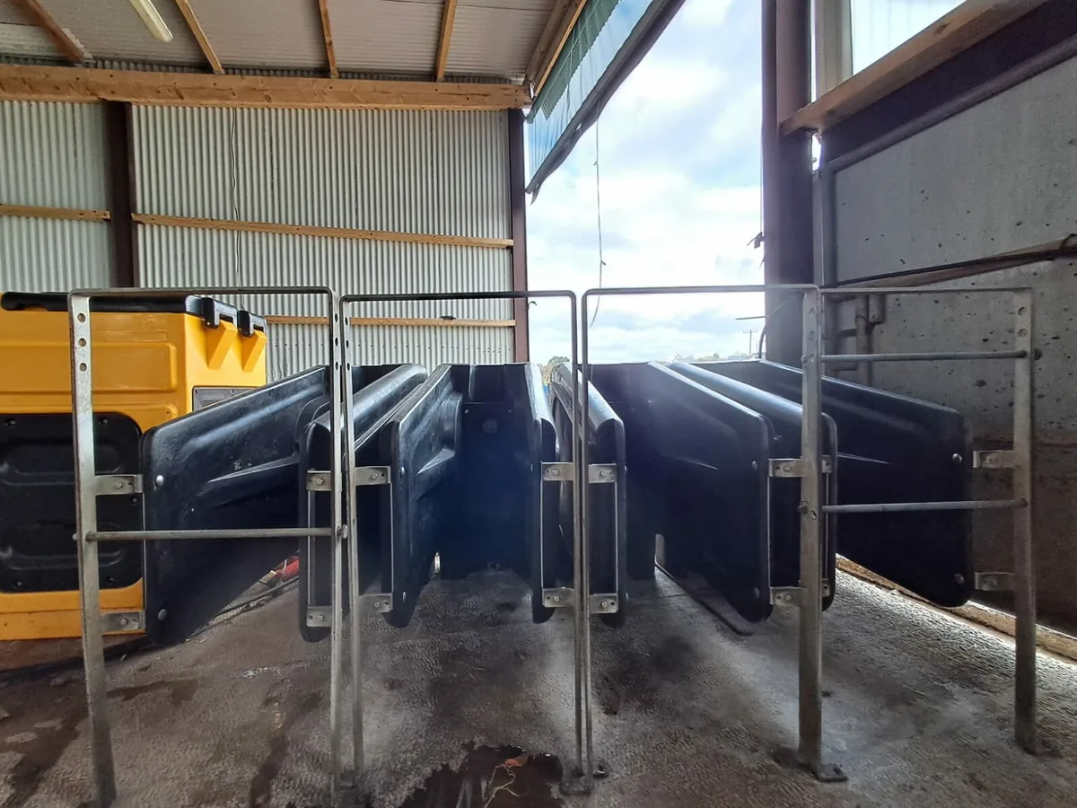 Jfc Evolution S4 Calf feeder - Image 3