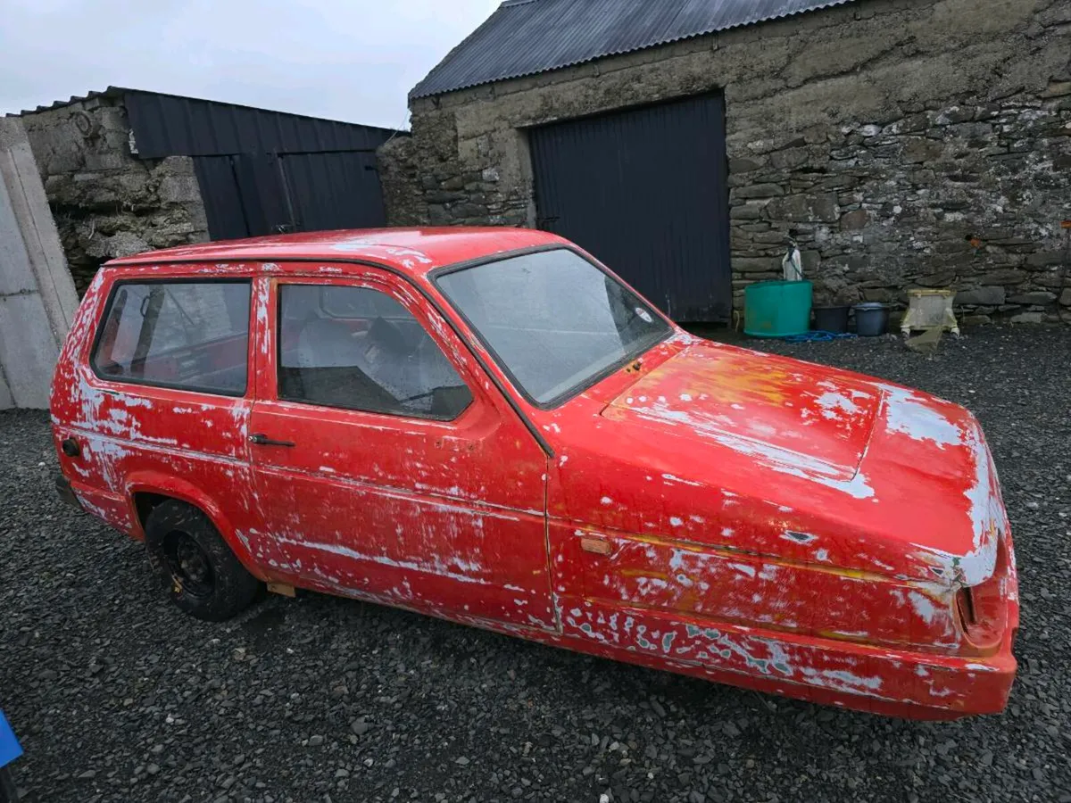 ROBIN RELIANT - Image 1