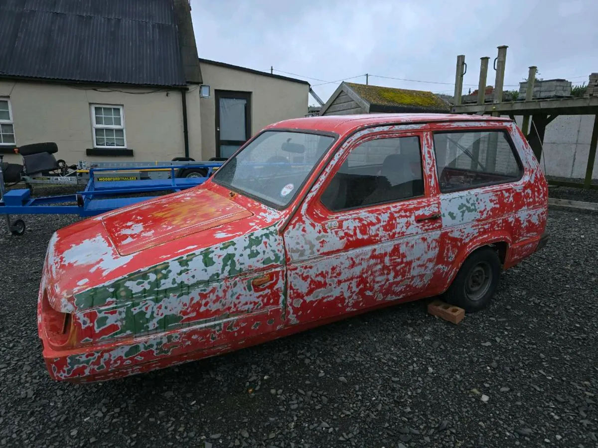 ROBIN RELIANT - Image 3