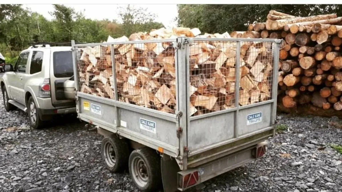 Cheap fire logs for about £100 - Image 1