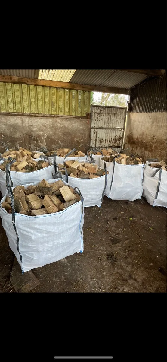 Ash firewood - Image 1