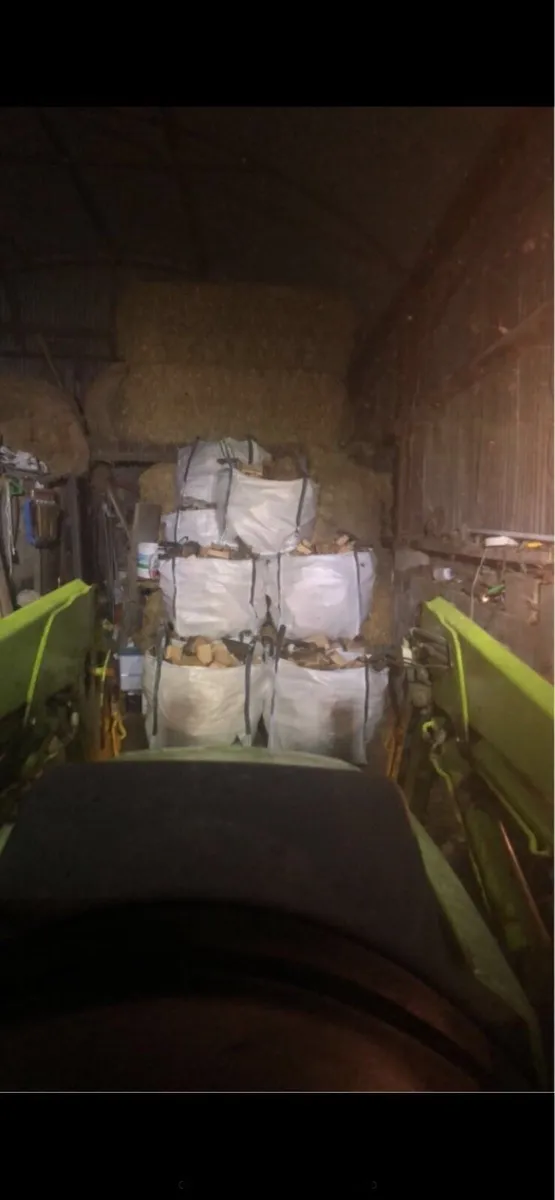 Ash firewood - Image 3