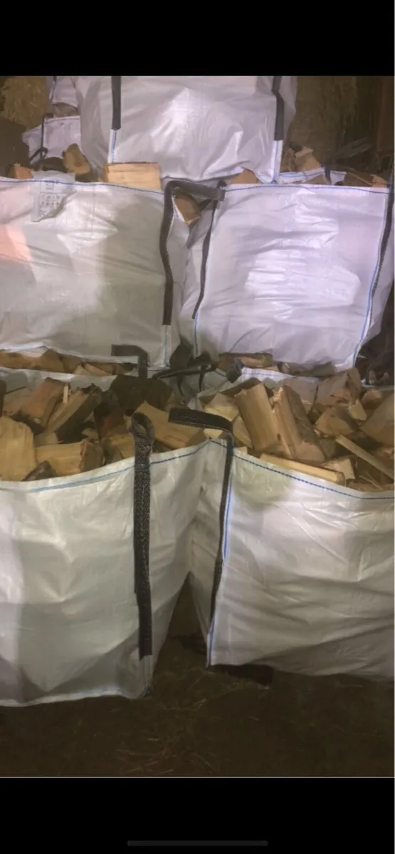 Ash firewood - Image 4
