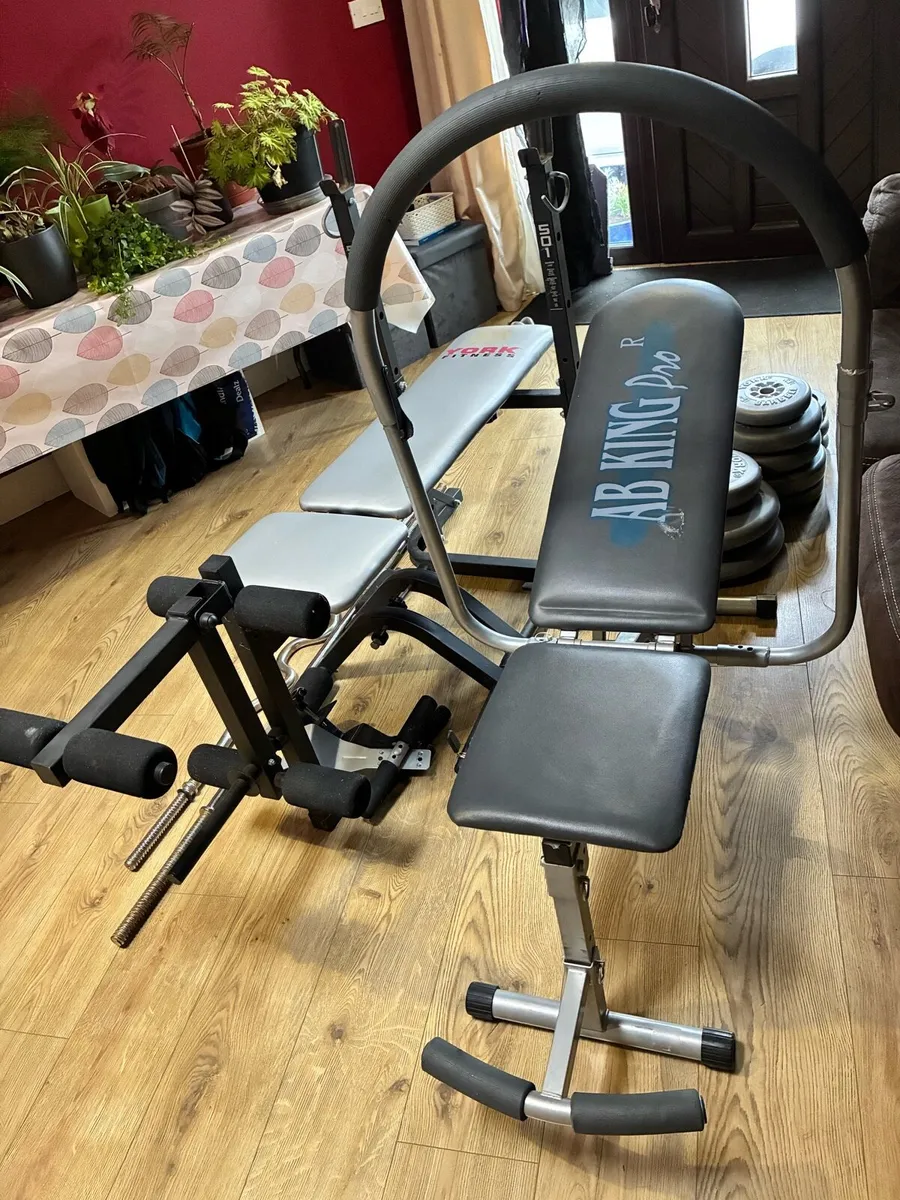 York Bench Press and Ab King Pro for sale in Cork for €50 on