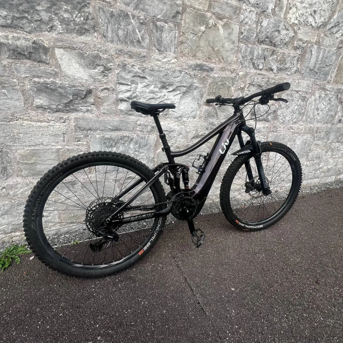 Electric mountain bike, Giant Liv - Image 2