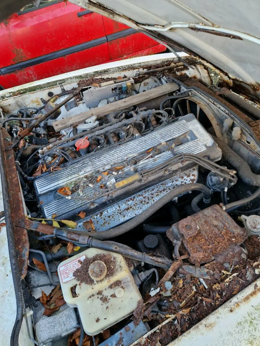 Jaguar xjs - Image 2