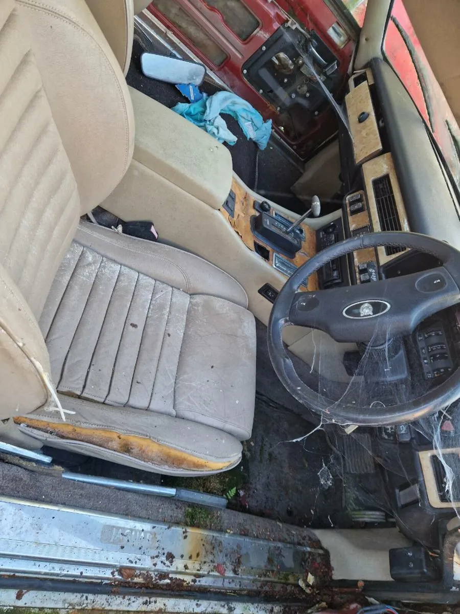 Jaguar xjs - Image 3