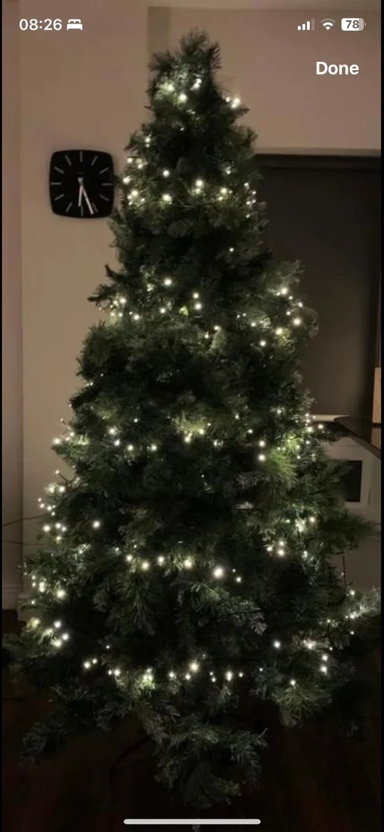 Christmas Lights - Image 1