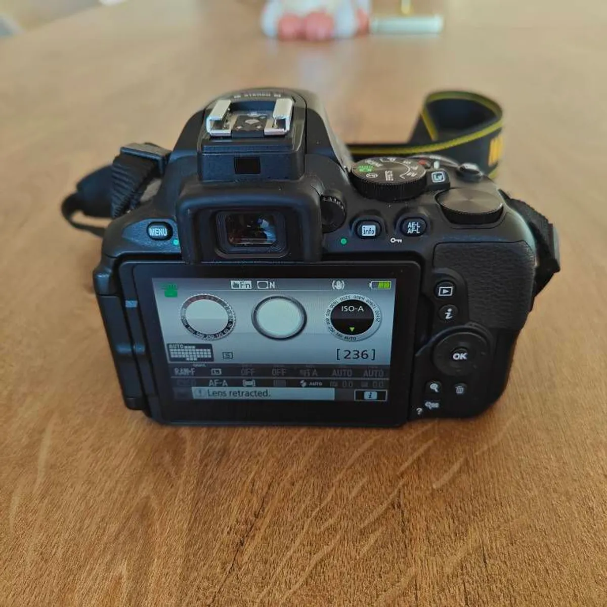 Nikon D5600 with 18-55mm & 70-300mm Lens, Camera Bag - Image 2