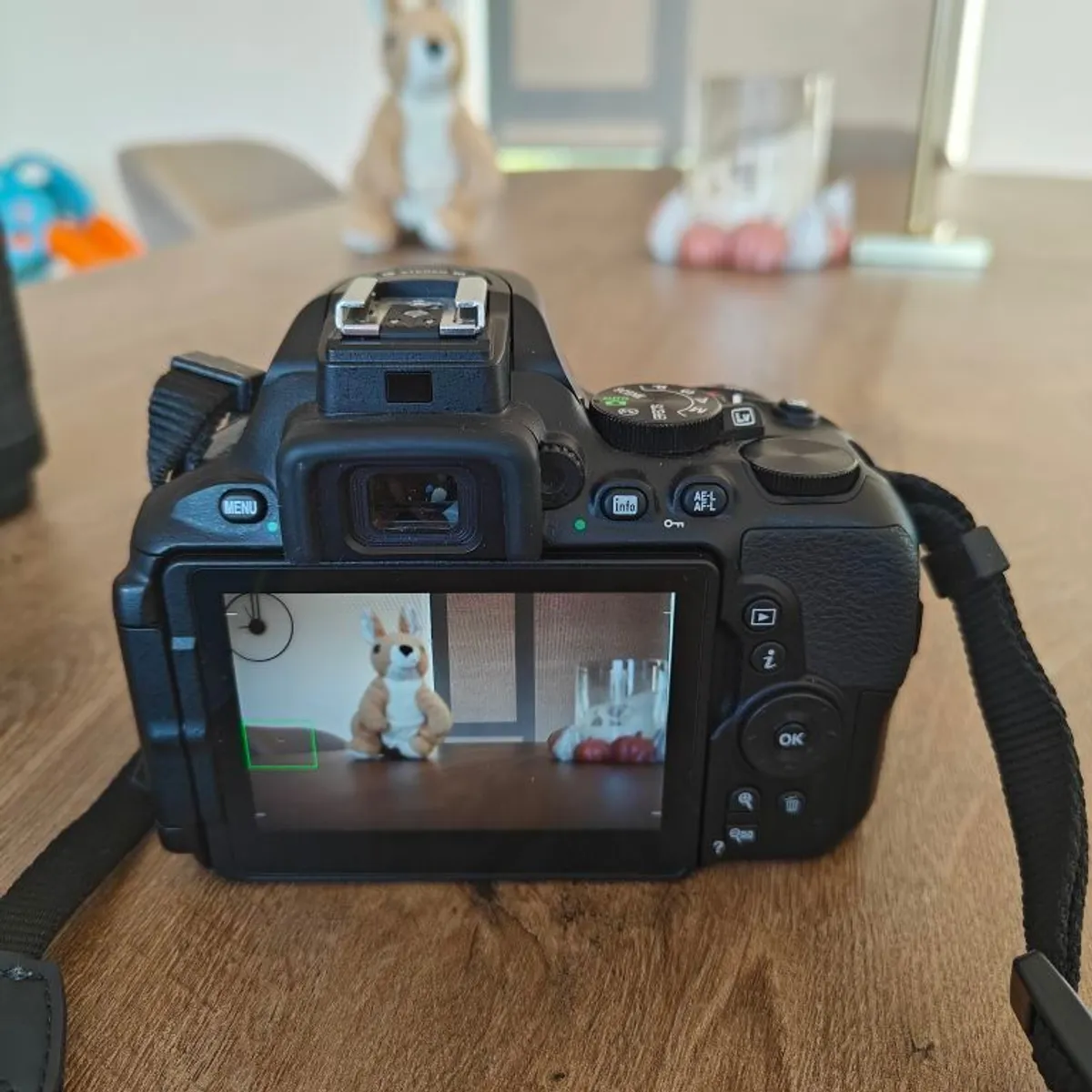 Nikon D5600 with 18-55mm & 70-300mm Lens, Camera Bag - Image 3